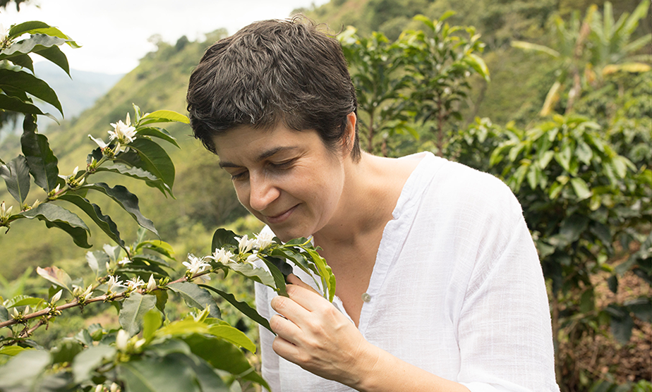 Les voyages d’Anne Caron